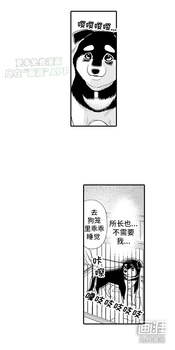 第1章：领养