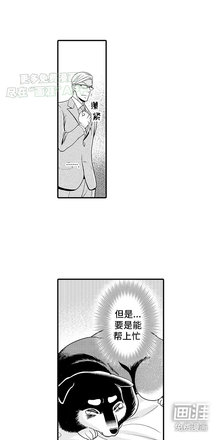 第1章：领养