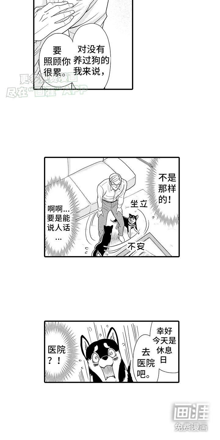 第1章：领养