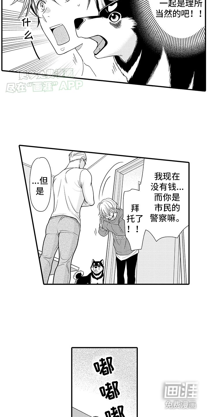 第10章：这是做什么
