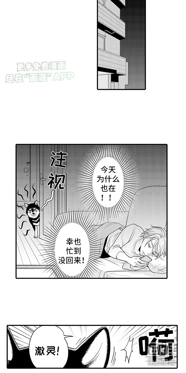 第10章：这是做什么