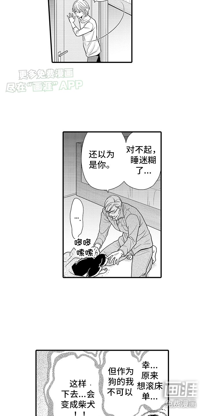 第11章：熟悉的味道