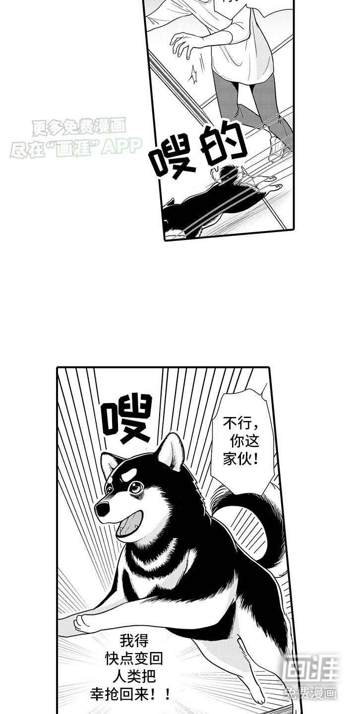 第11章：熟悉的味道