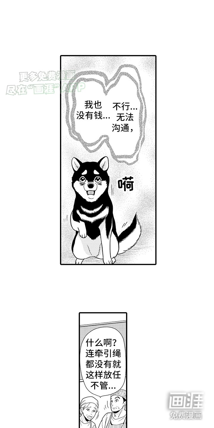 第11章：熟悉的味道