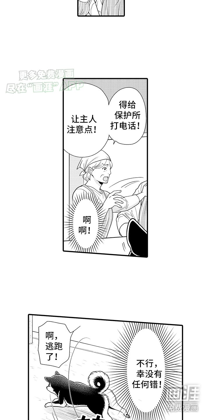 第11章：熟悉的味道