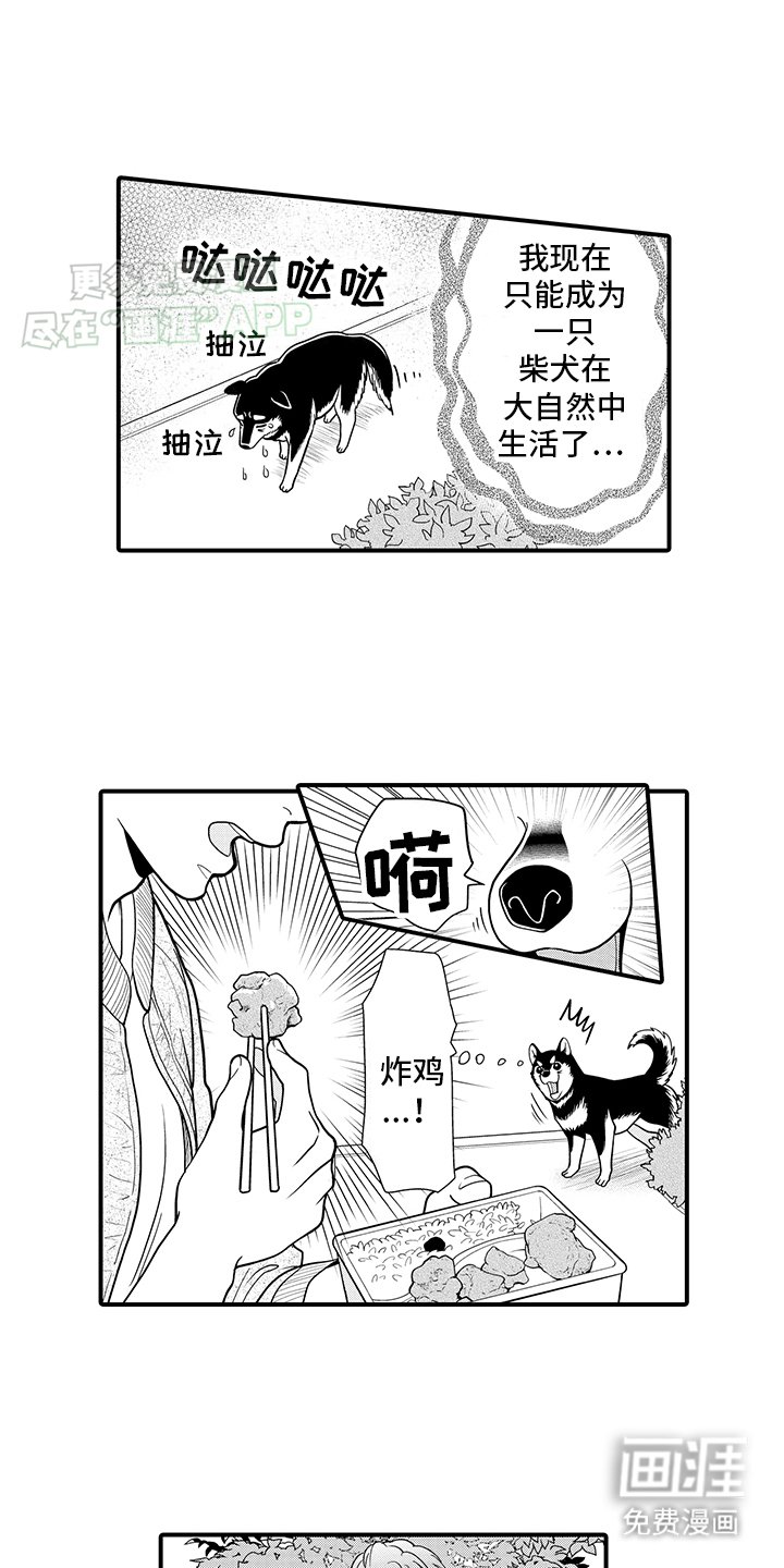 第11章：熟悉的味道