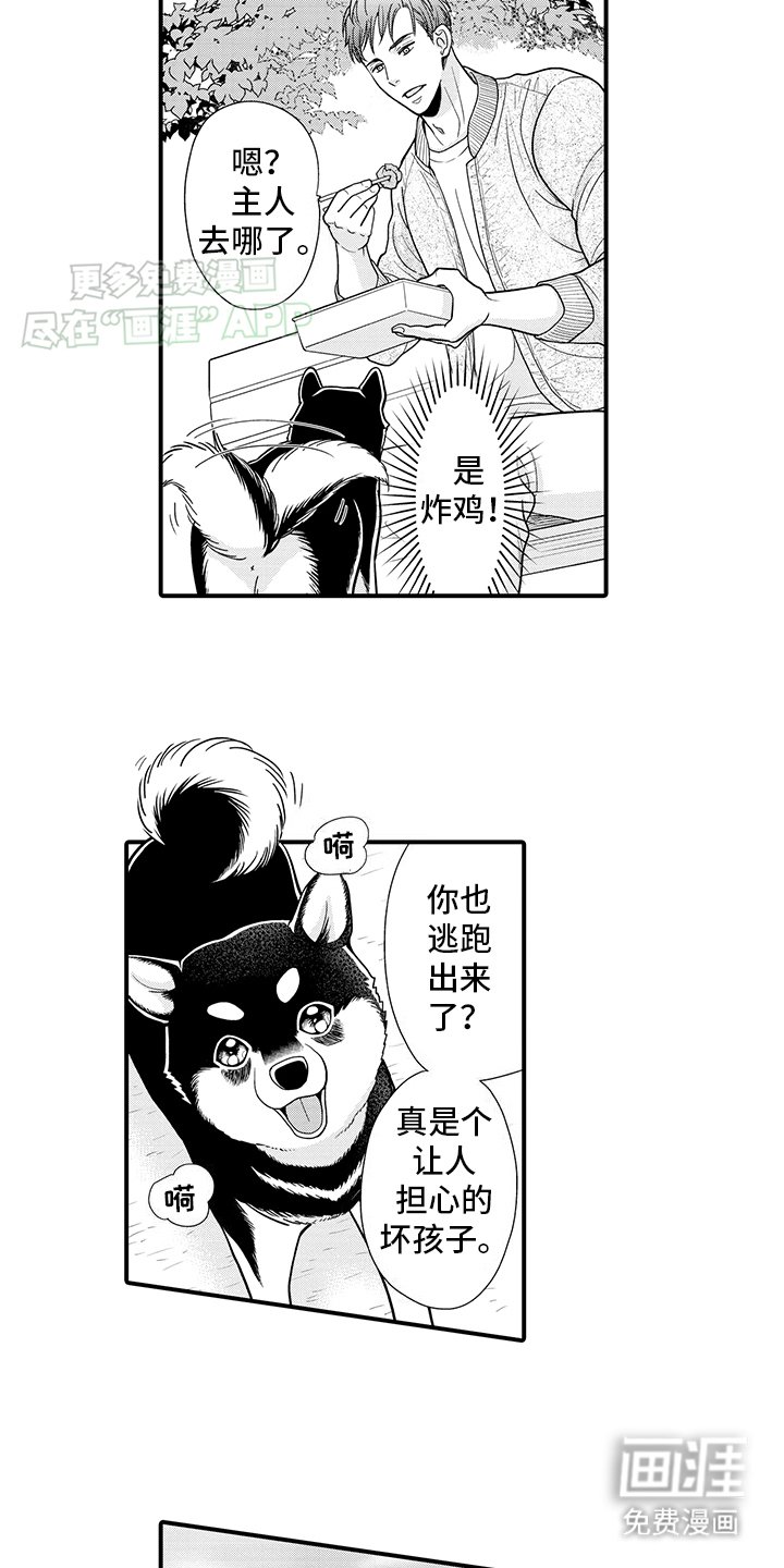 第11章：熟悉的味道