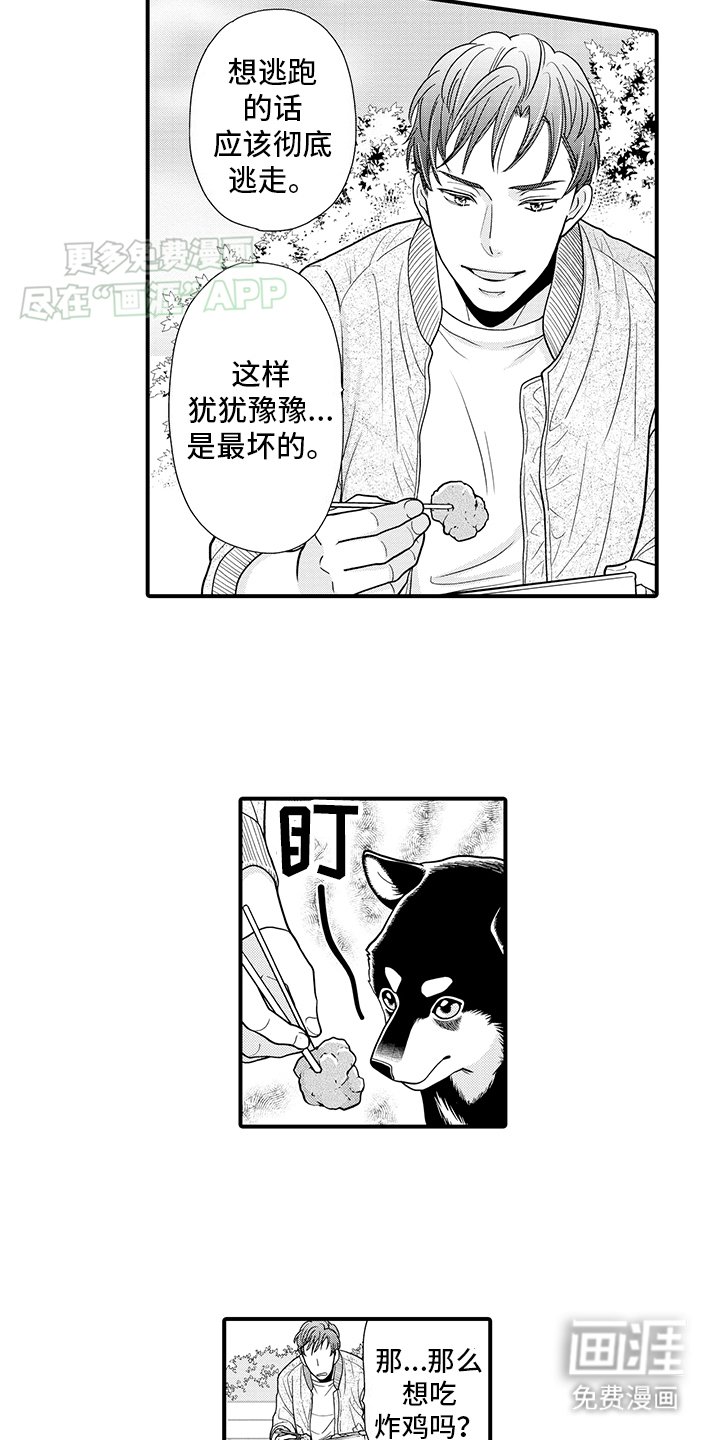 第11章：熟悉的味道