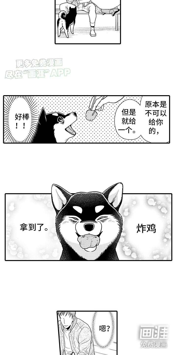 第11章：熟悉的味道