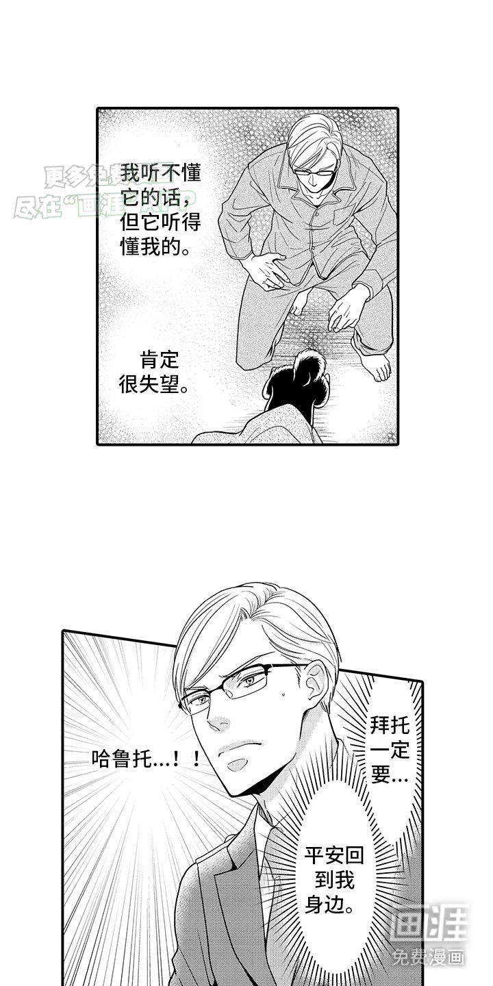 第12章：寻找