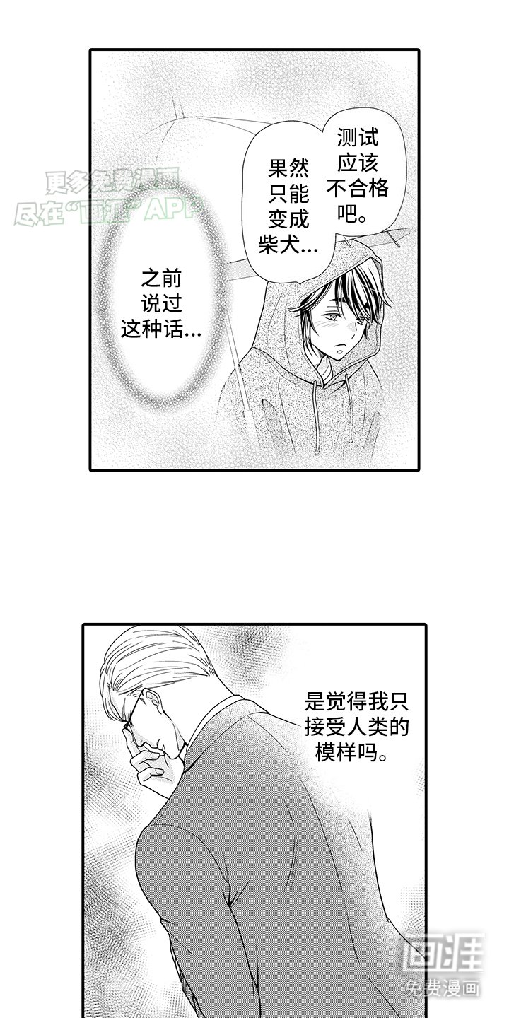 第12章：寻找
