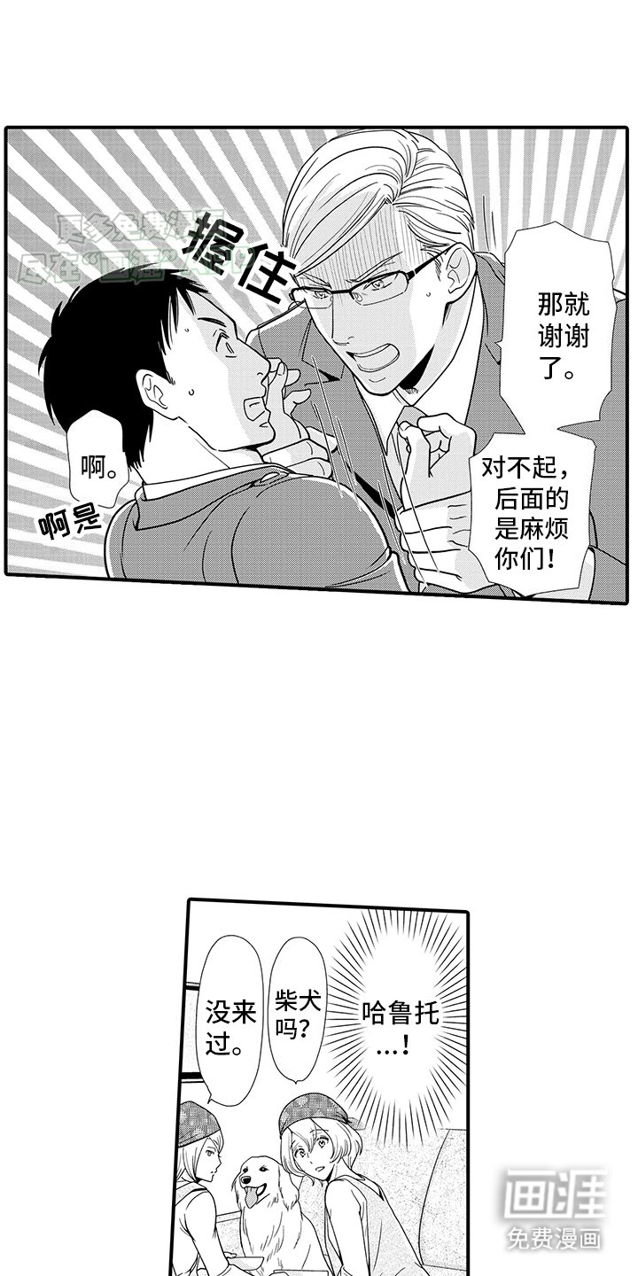 第12章：寻找