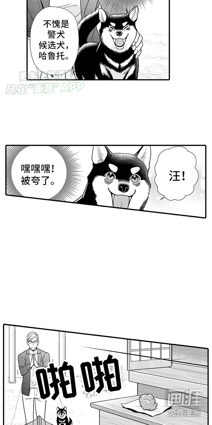第14章：重新变回人