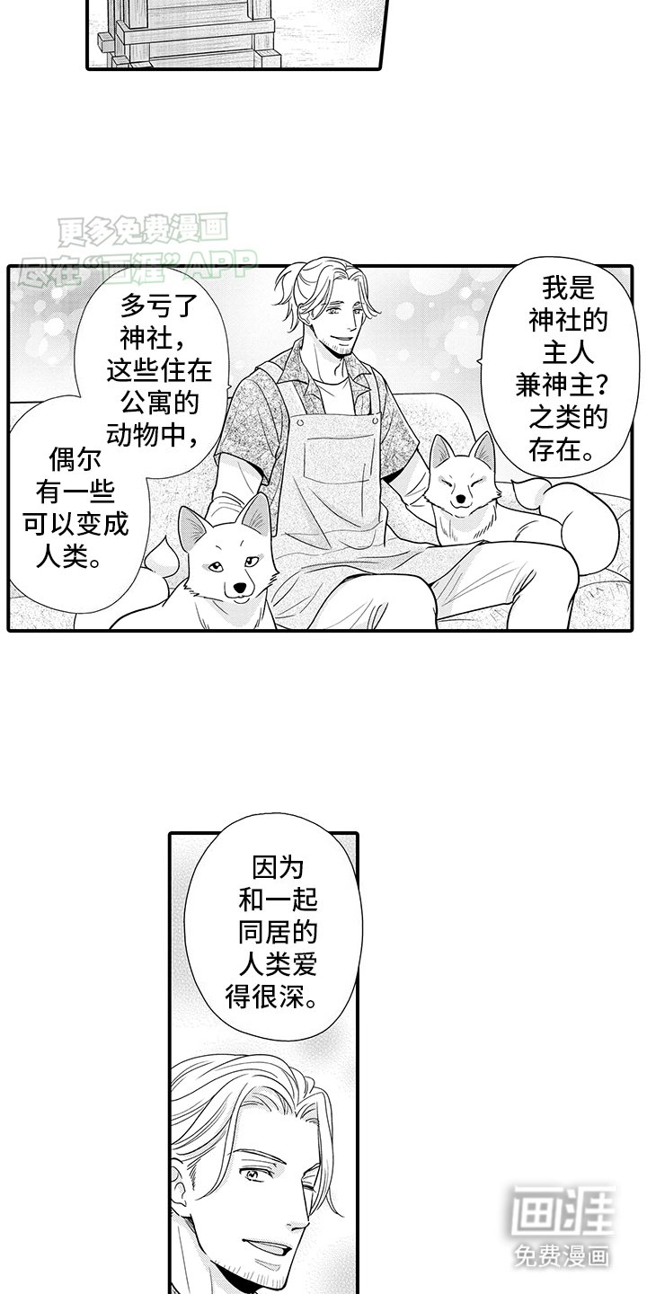 第15章：神龛里原来是