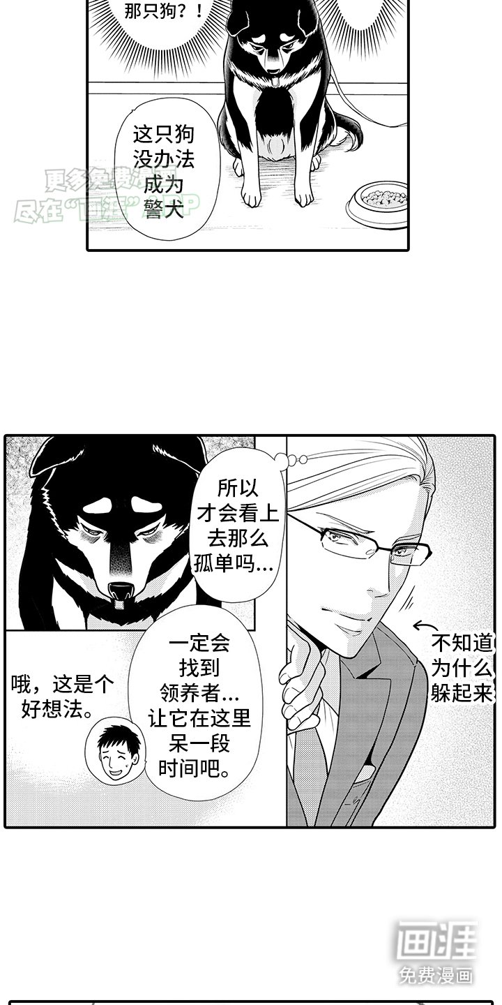 第15章：神龛里原来是