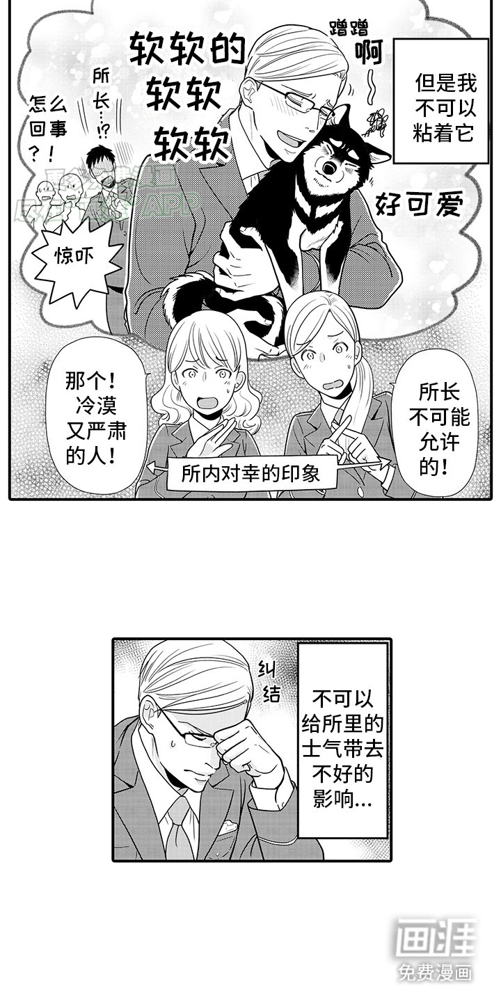 第15章：神龛里原来是