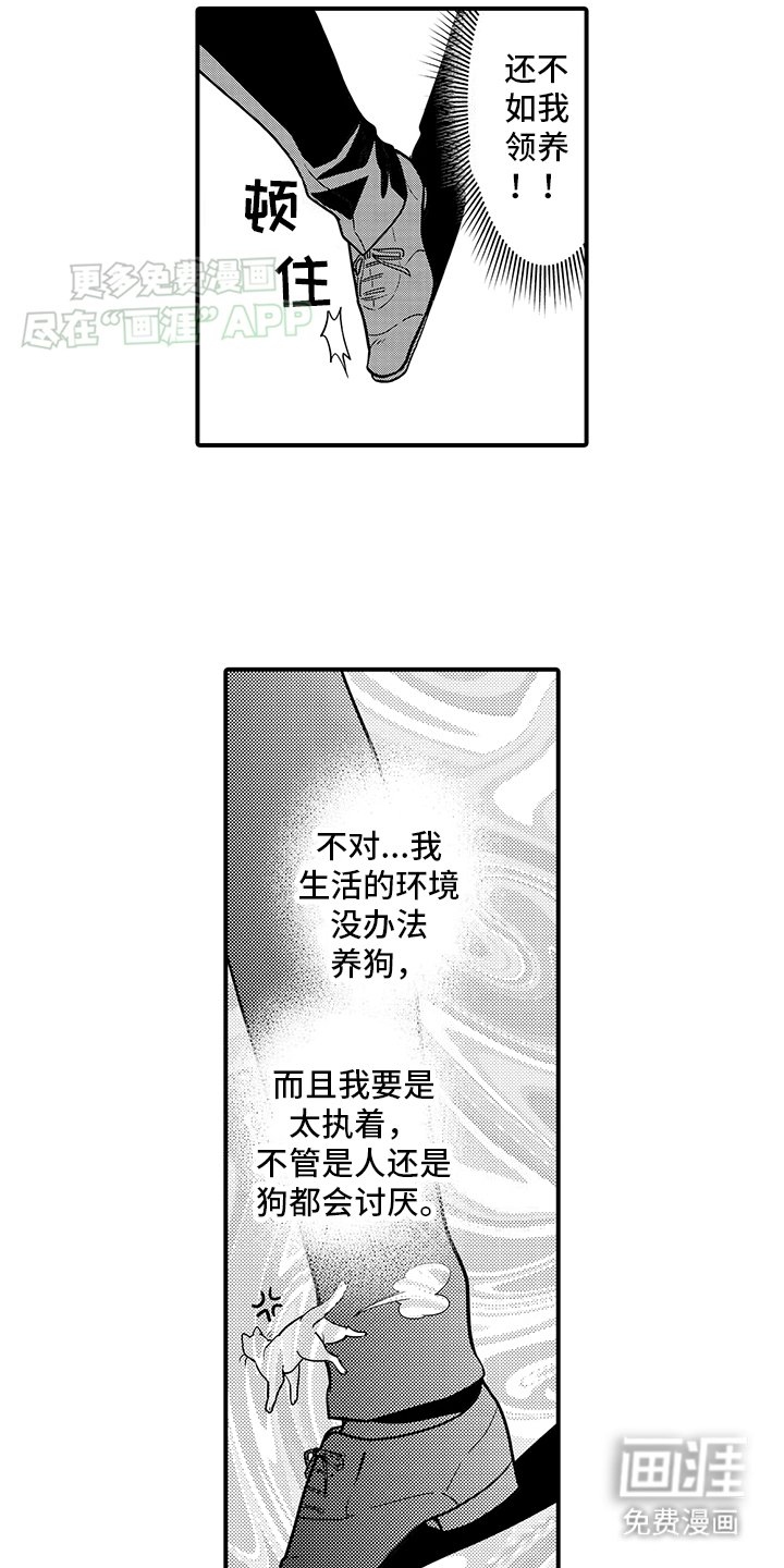 第15章：神龛里原来是
