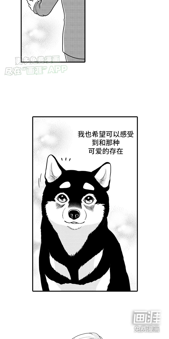 第15章：神龛里原来是