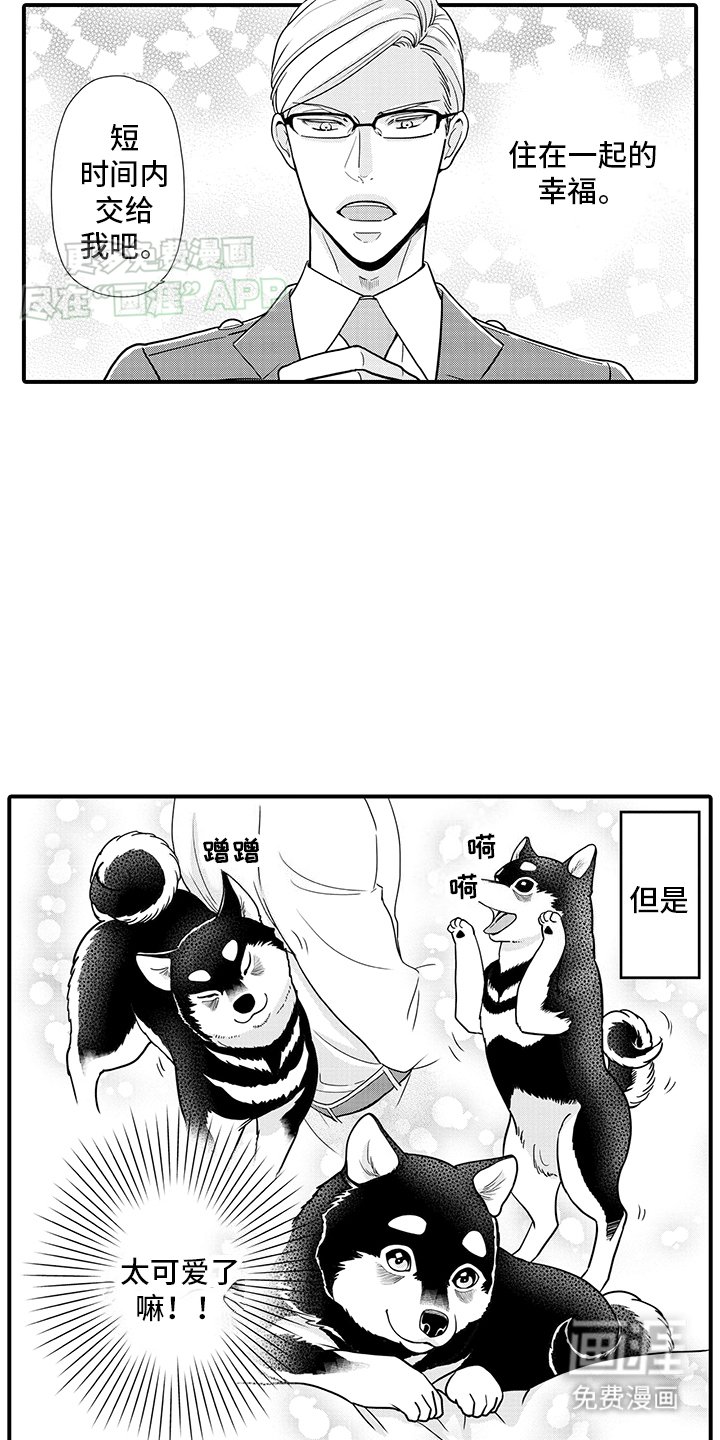 第15章：神龛里原来是