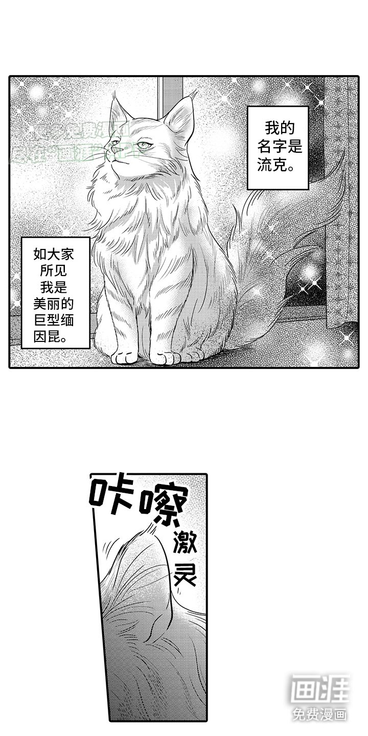 第16章：猫猫和饲主