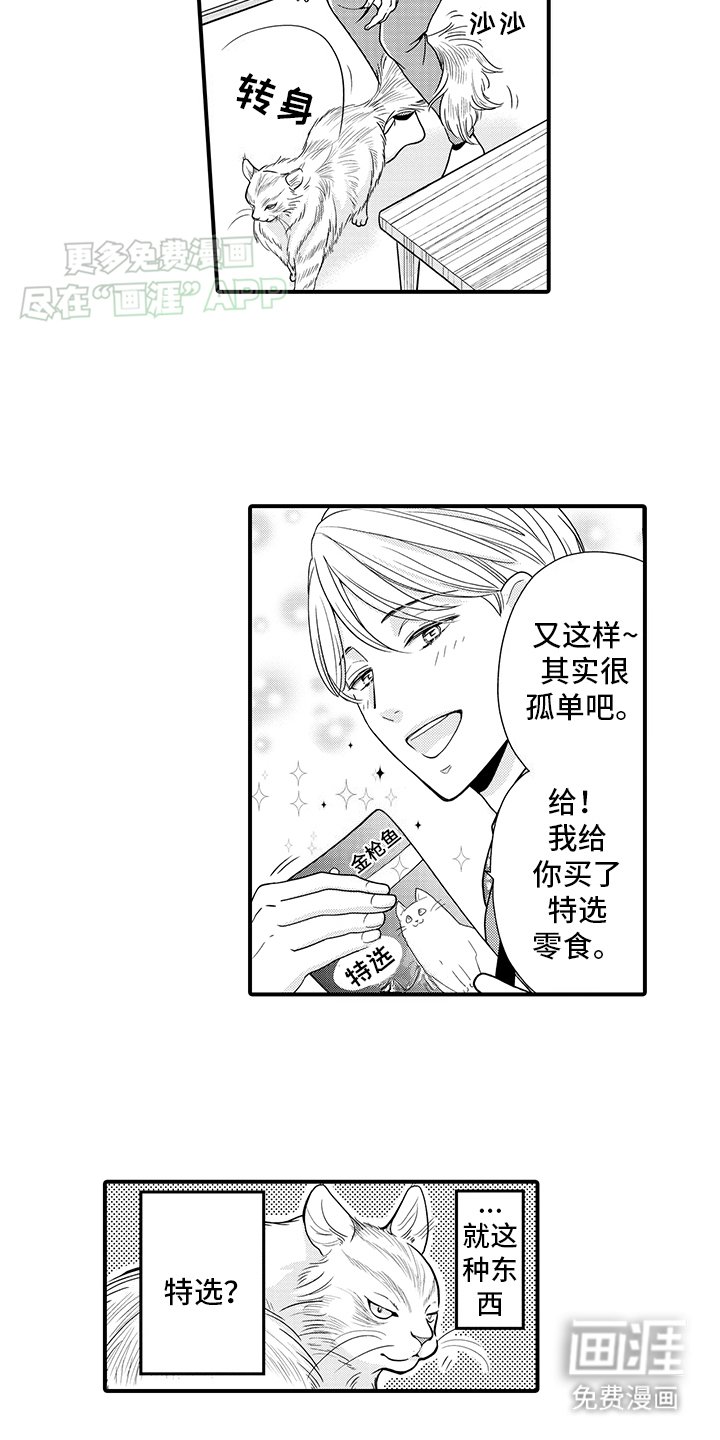第16章：猫猫和饲主