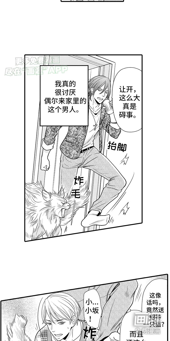 第16章：猫猫和饲主