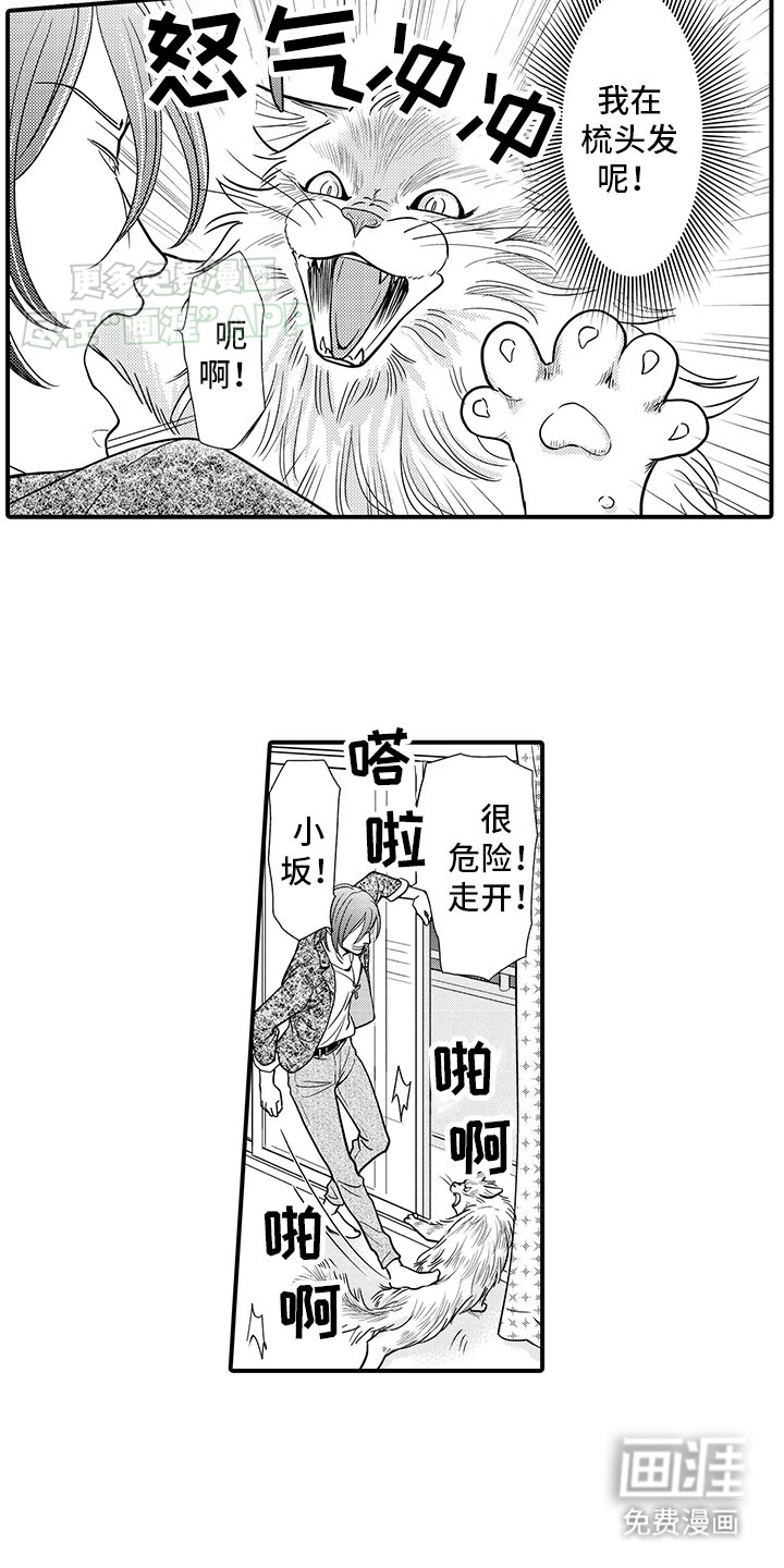 第16章：猫猫和饲主