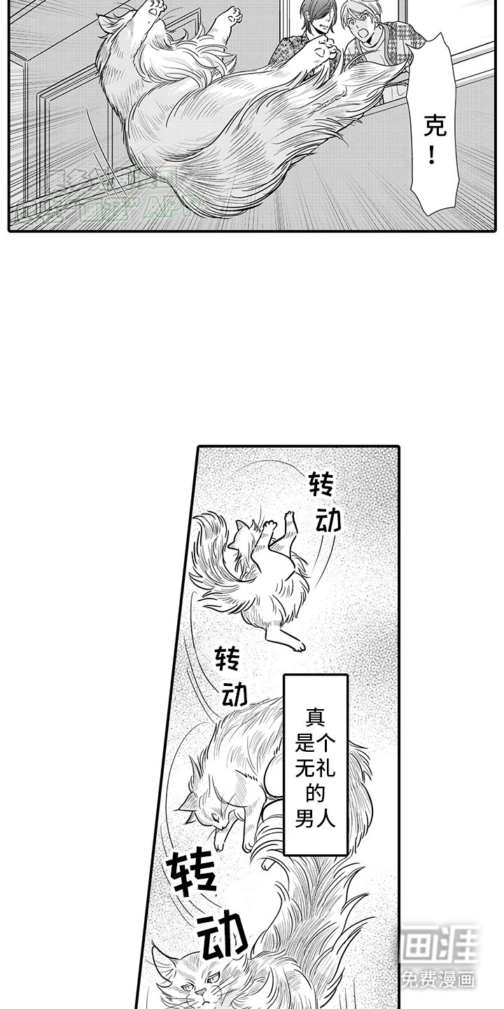 第16章：猫猫和饲主