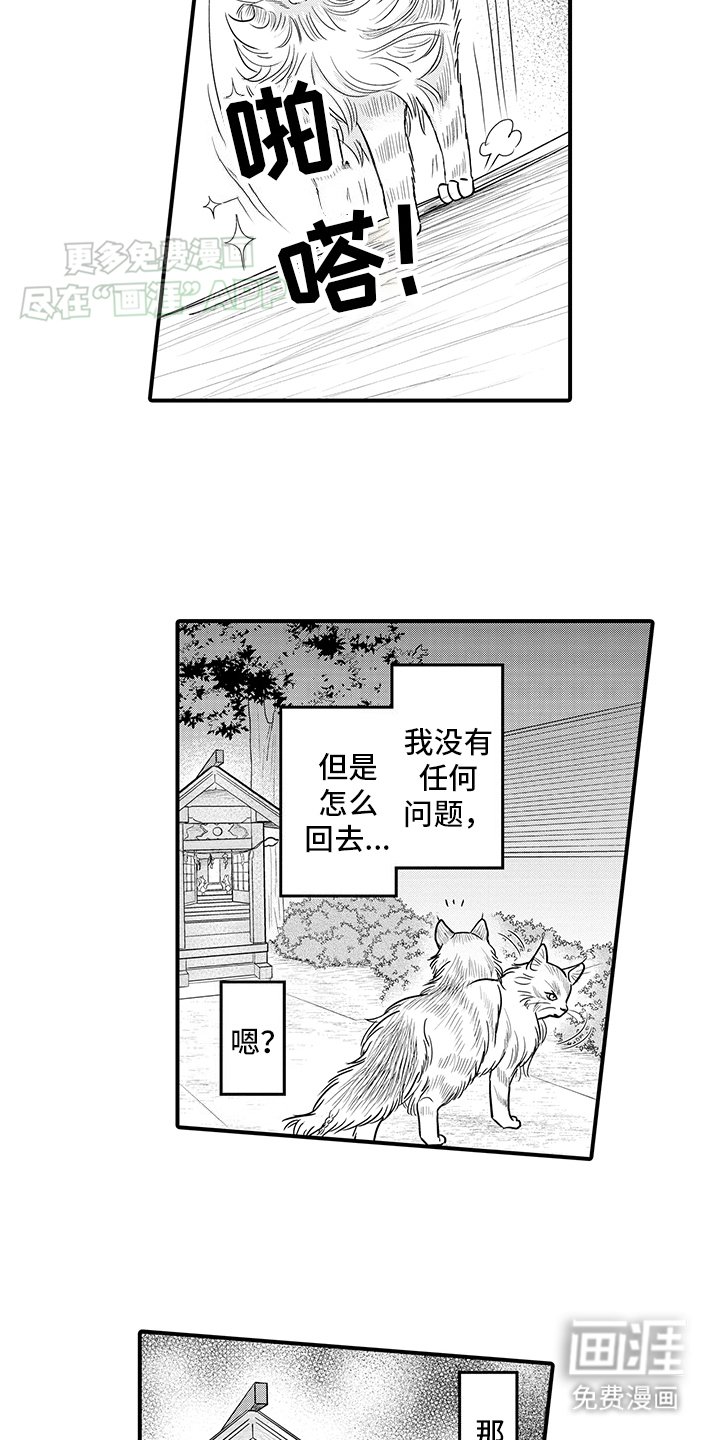 第16章：猫猫和饲主