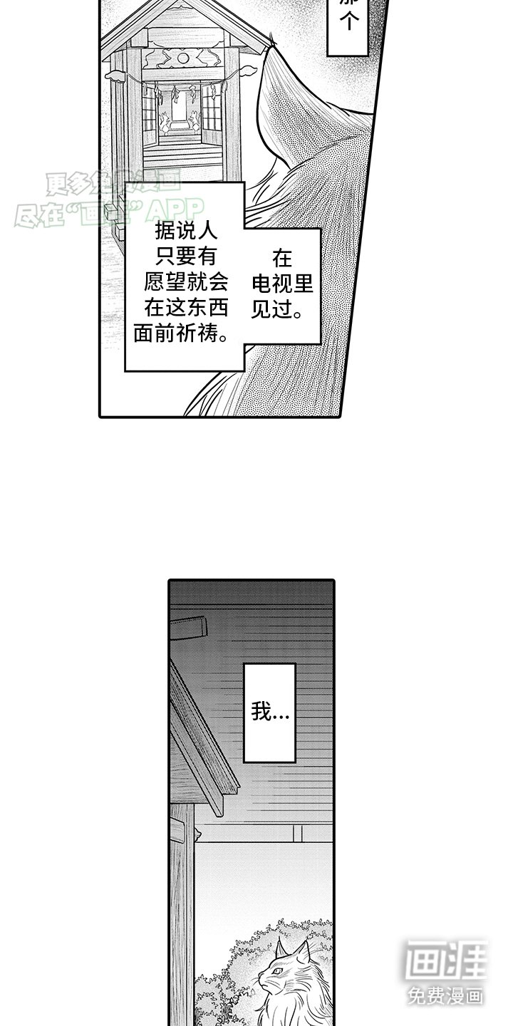 第16章：猫猫和饲主