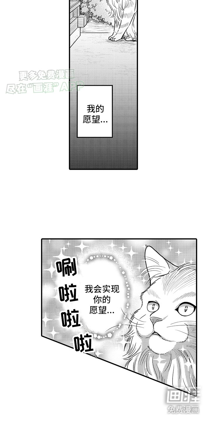 第16章：猫猫和饲主