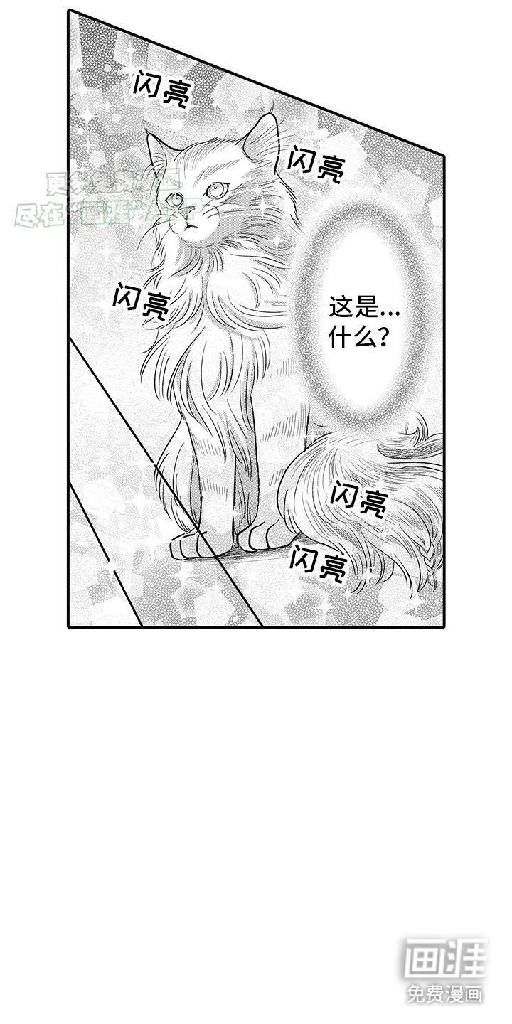 第16章：猫猫和饲主