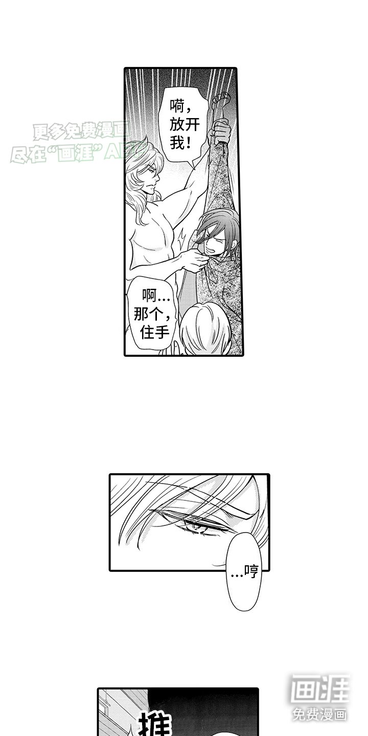 第17章：傲娇猫猫