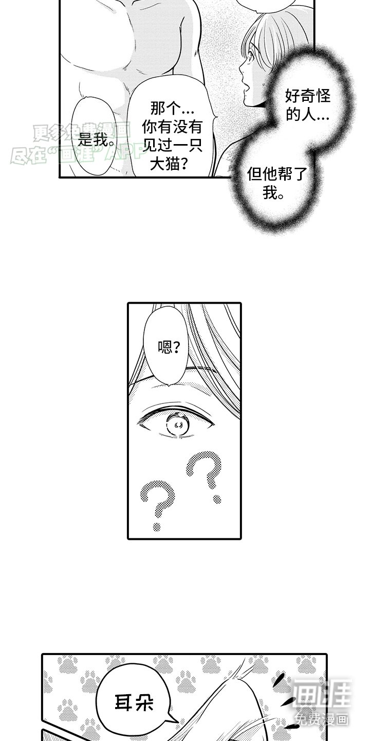 第17章：傲娇猫猫