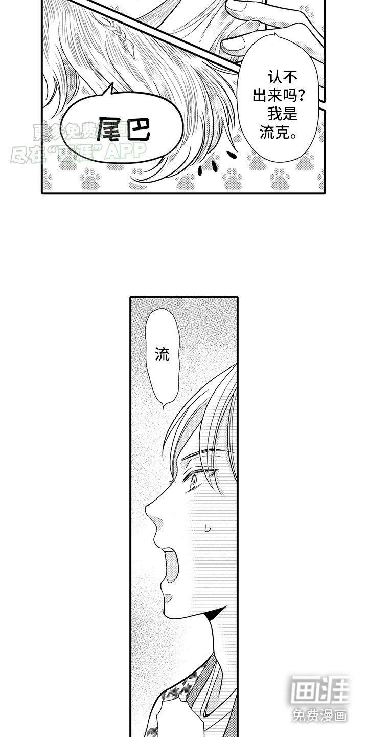 第17章：傲娇猫猫