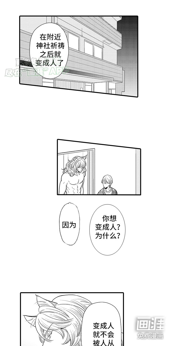 第17章：傲娇猫猫