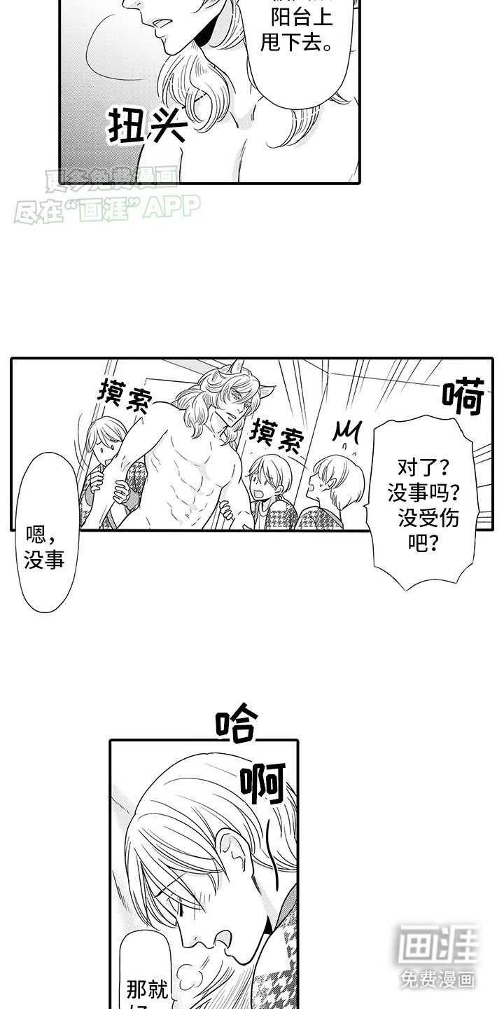 第17章：傲娇猫猫