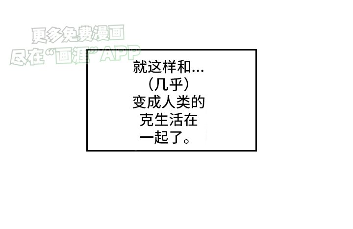 第17章：傲娇猫猫