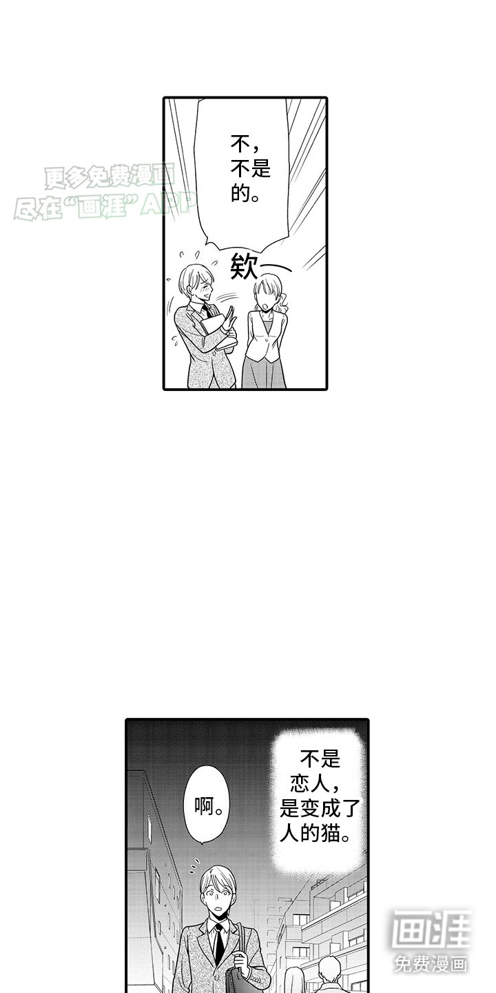 第17章：傲娇猫猫