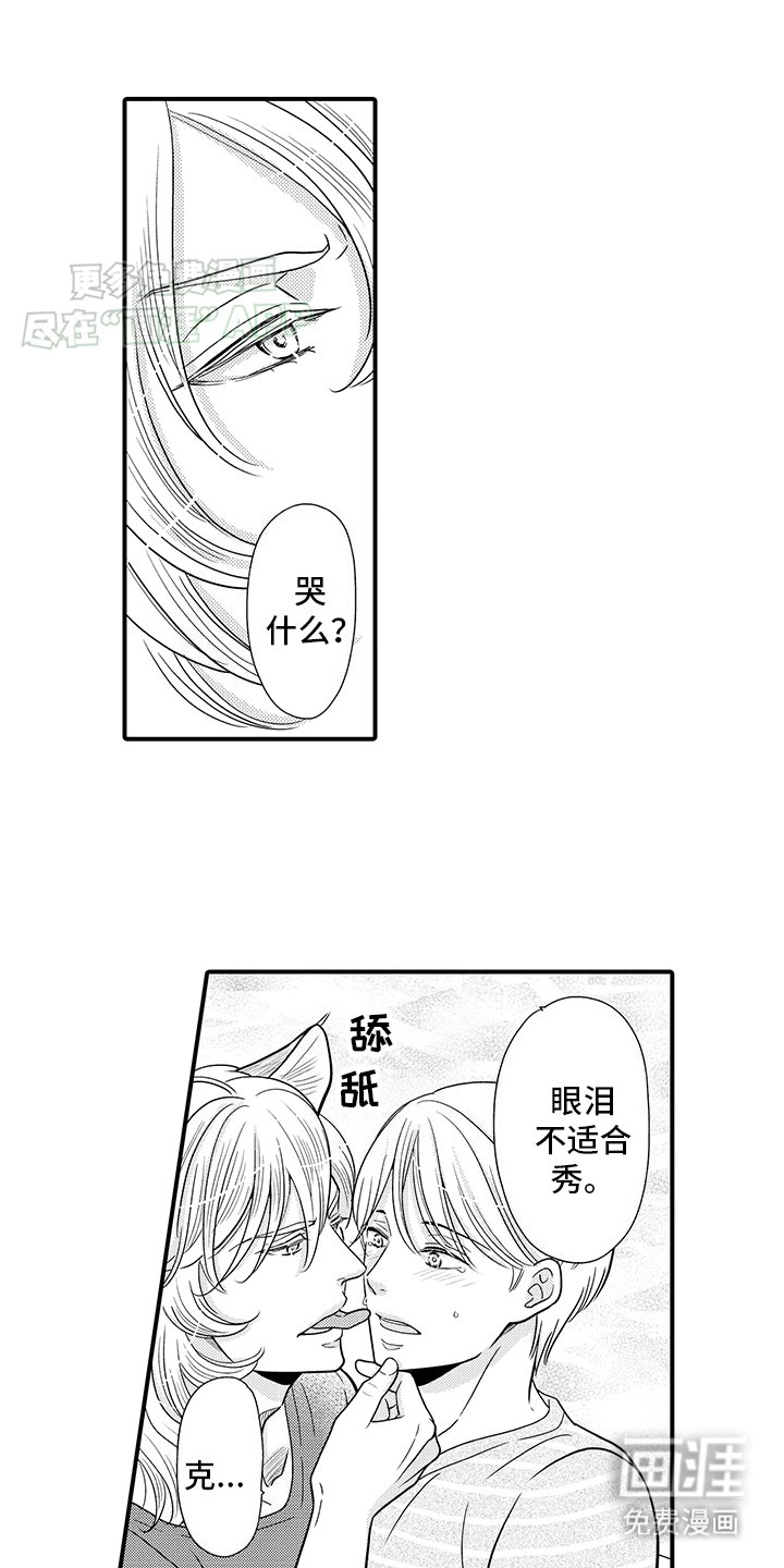 第18章：嘴硬小猫