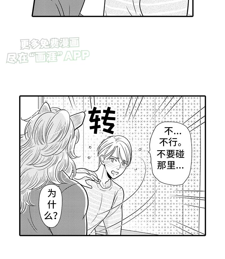 第18章：嘴硬小猫