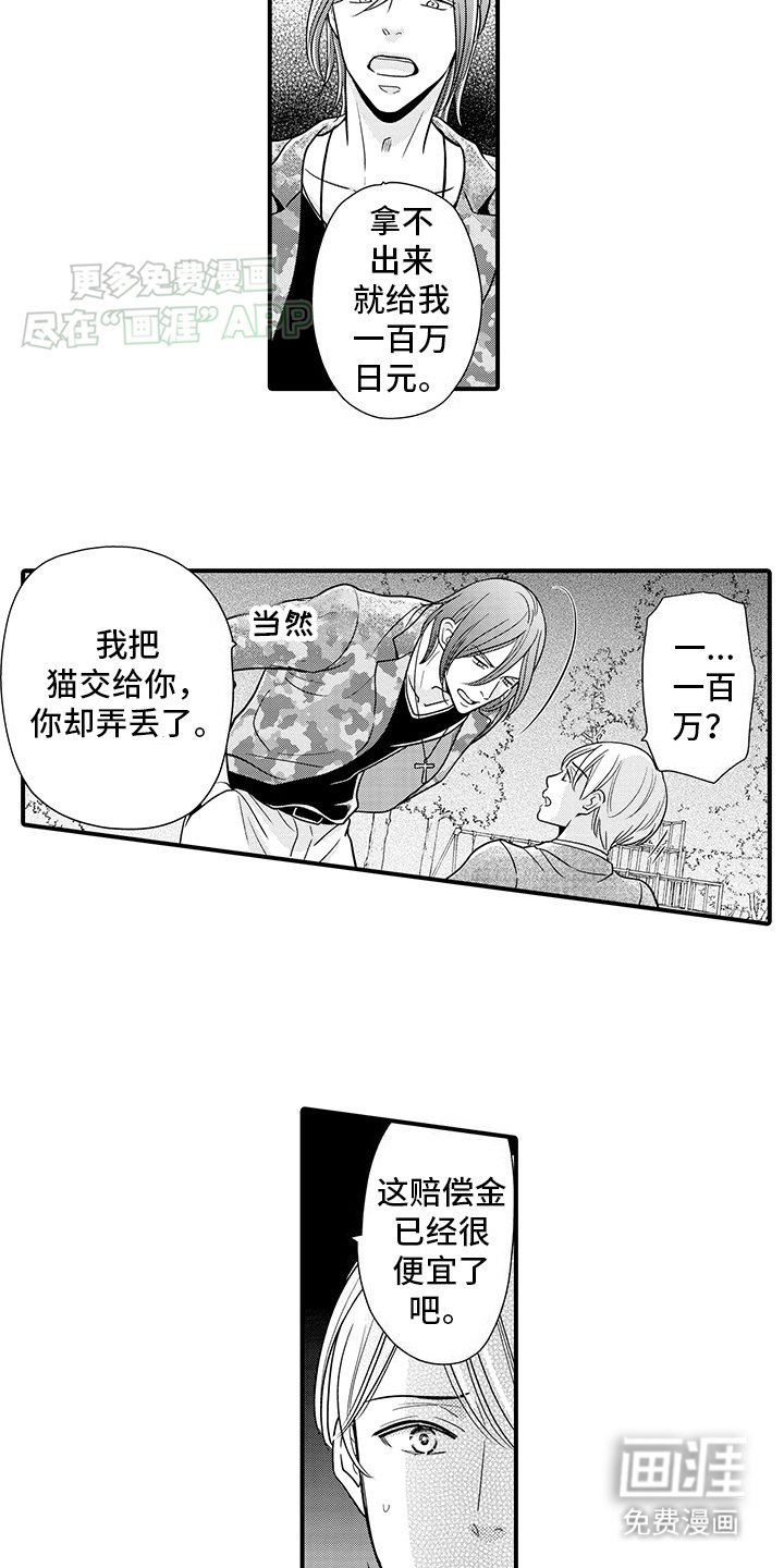 第19章：纠缠