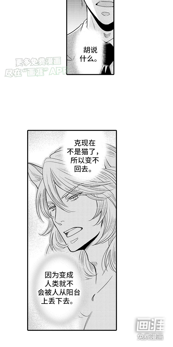 第19章：纠缠