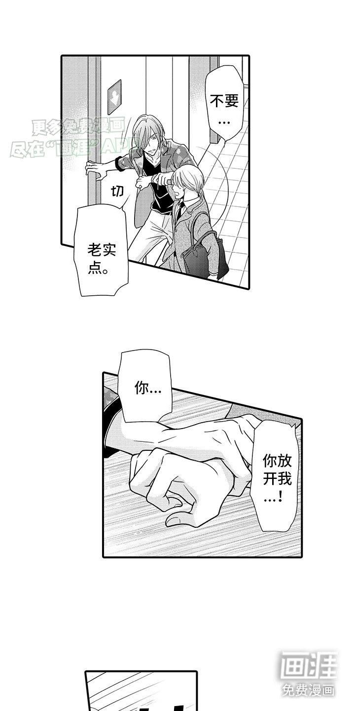 第19章：纠缠