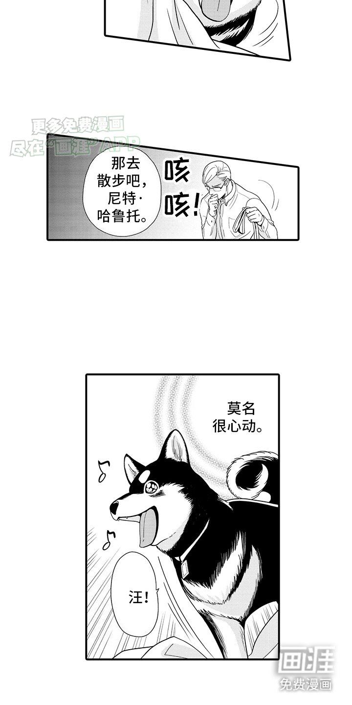 第2章：变化成人