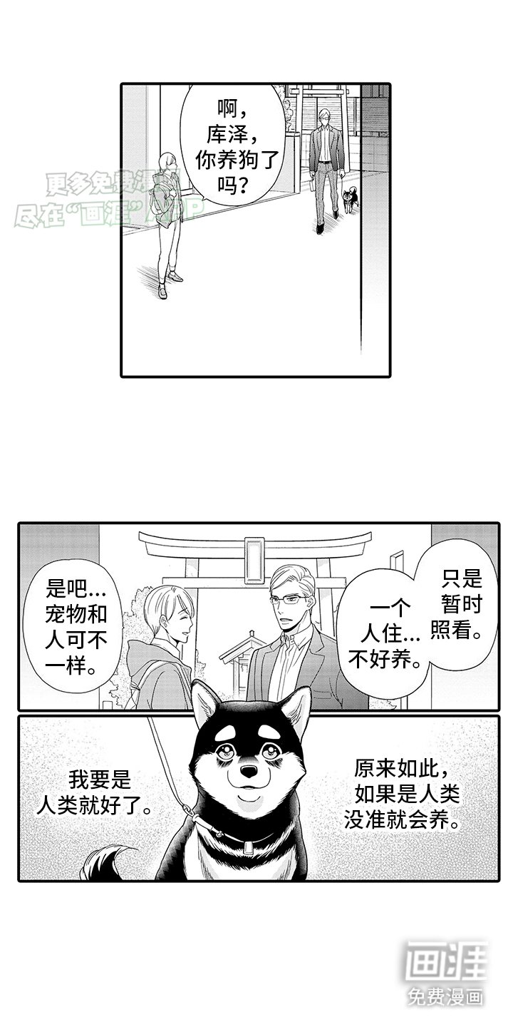 第2章：变化成人