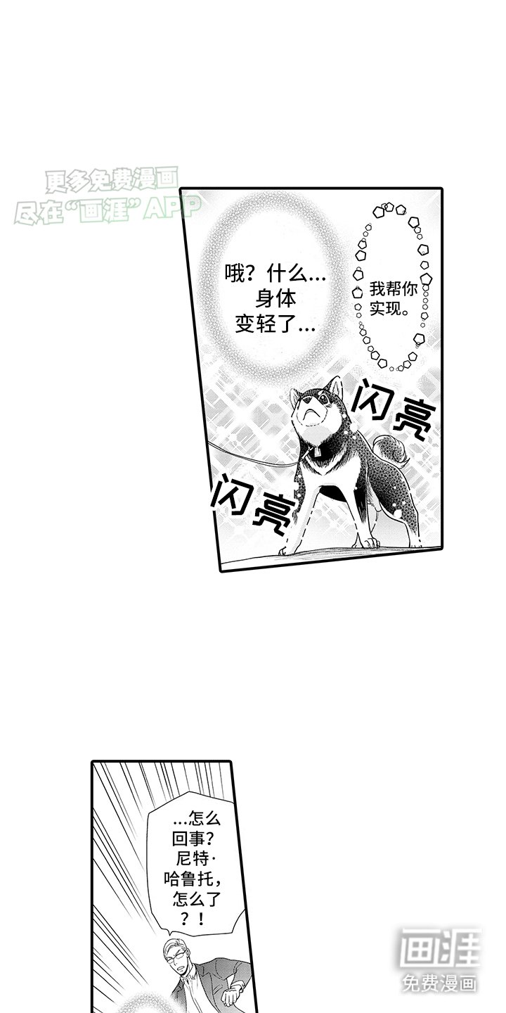 第2章：变化成人