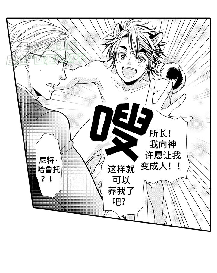 第2章：变化成人