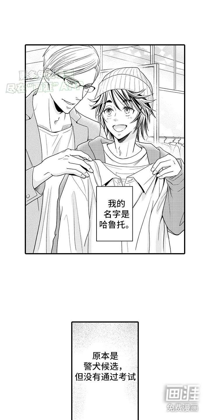 第5章：狗狗咖啡店