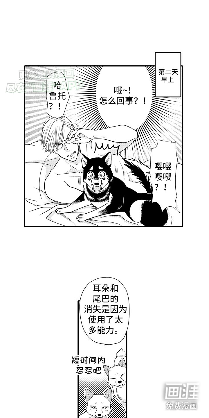 第8章：变回狗狗